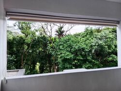 Signature Park (D21), Condominium #511938721